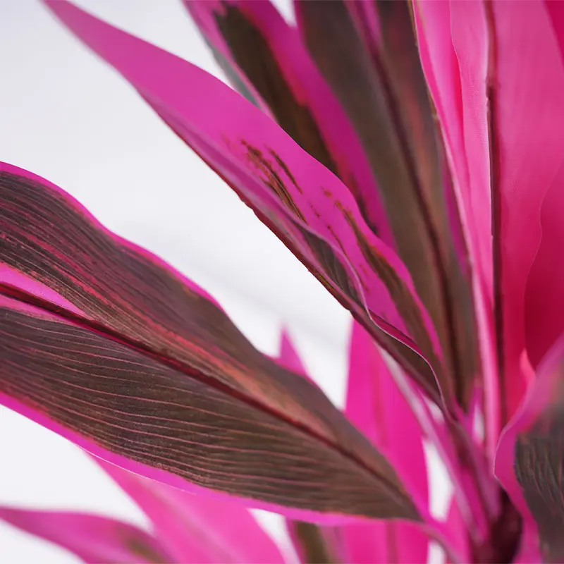 China H90cm Cordyline fruticosa leaves in pot Purple-green  simulated texture Suppliers, Factories