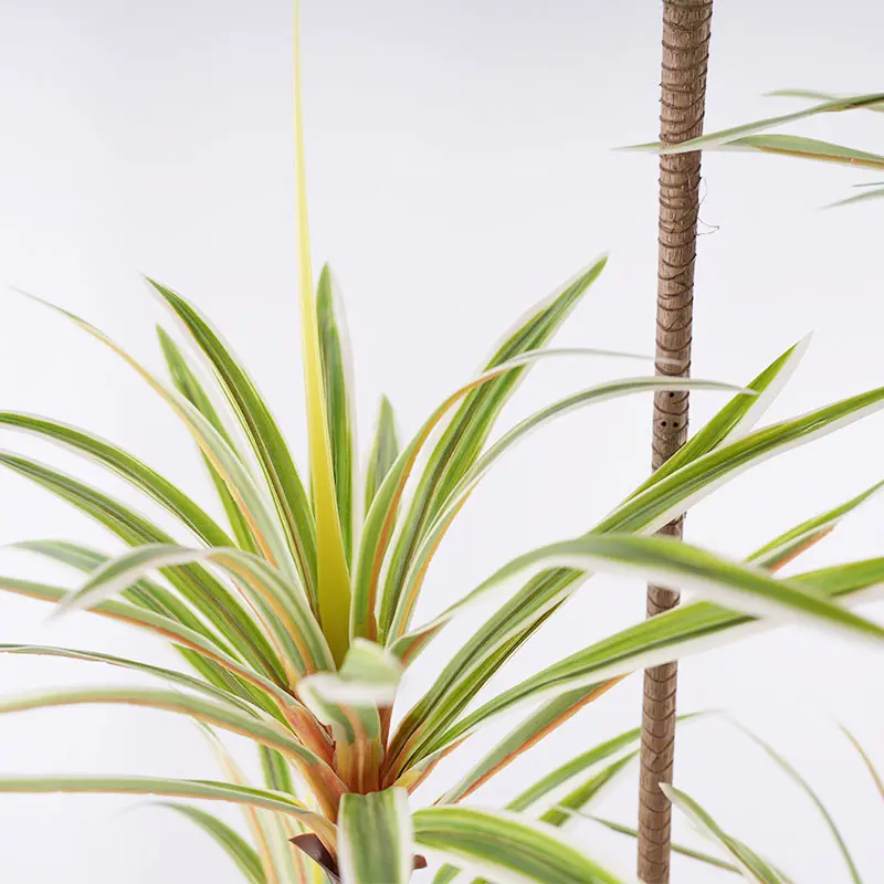 Wholesale Factory Direct Green H150cm 5 stems Dracaena Marginata Artificial Plants Detachable Hotel Restaurant Decor Supplier, Factory