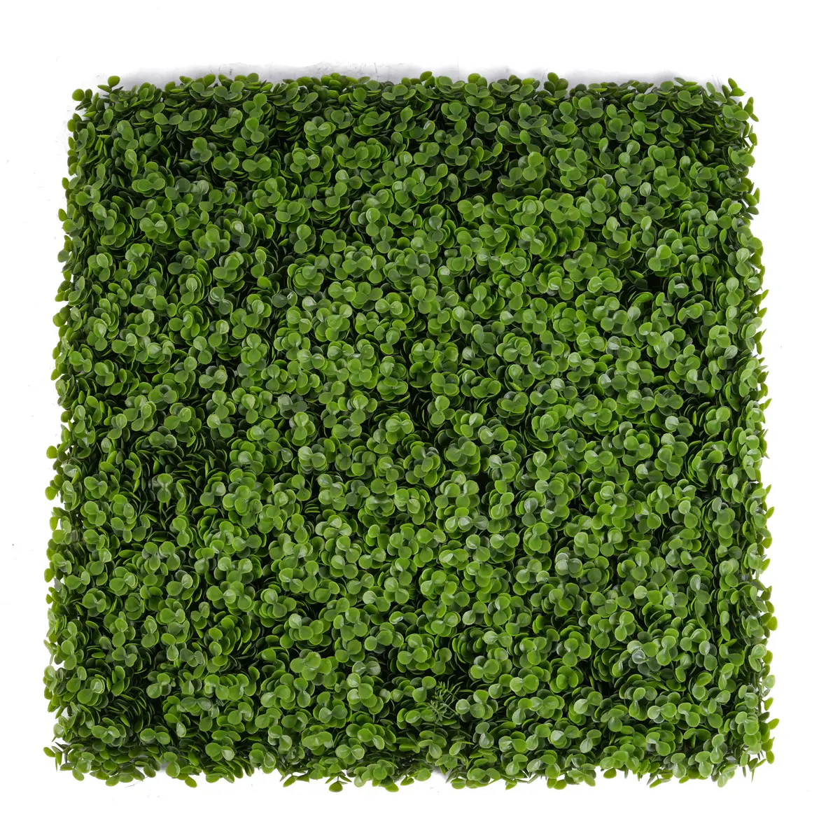 Wholesale UV Protective Artificial Boxwood Grass Fence Mat Panels 62*62cm Green Wall Garden Ornaments Decor Anti-UV Foliage Made Plastic Manufacturer, Factory