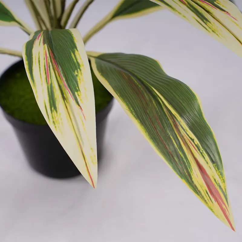 China High quality artificial green H43cm Cordyline fruticosa leaves in pot Pink yellow home decoration Supplier, Factory