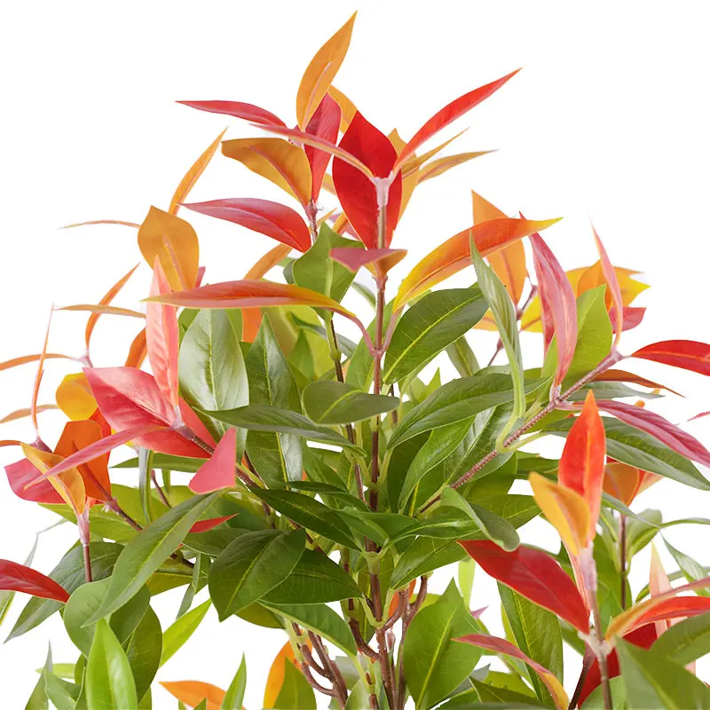 Wholesale Premium H120cm Removable Faux Photinia Commercial Space Greenery Decoration Manufacturer, Supplier