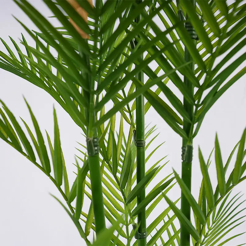 Areca Palm Decor