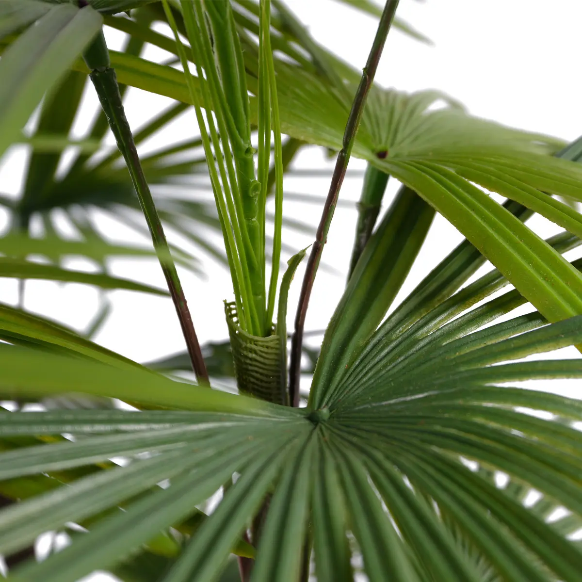 China Hot Selling Beautiful Bonsai Tree Indoor and Outdoor Artificial Kwai Plastic Plant for Home or Garden Manufacturers, Suppliers