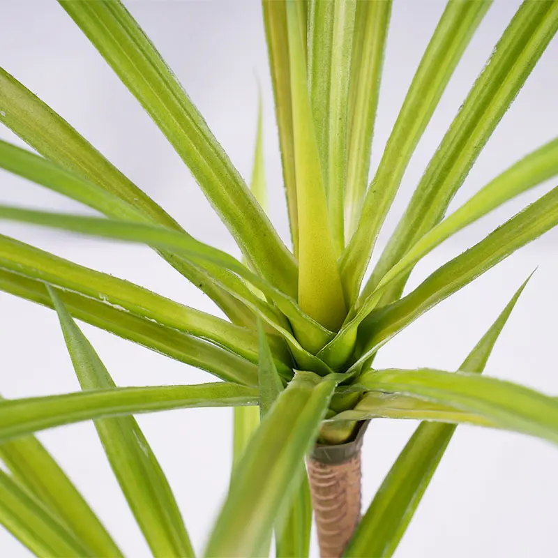 China Artificial Dracaena Plant White Green Plastic 60cm 2 Heads 30 Leaves Potted Fake Greenery Indoor Home Decor Office Decoration Plant Manufacturer, Manufacturers