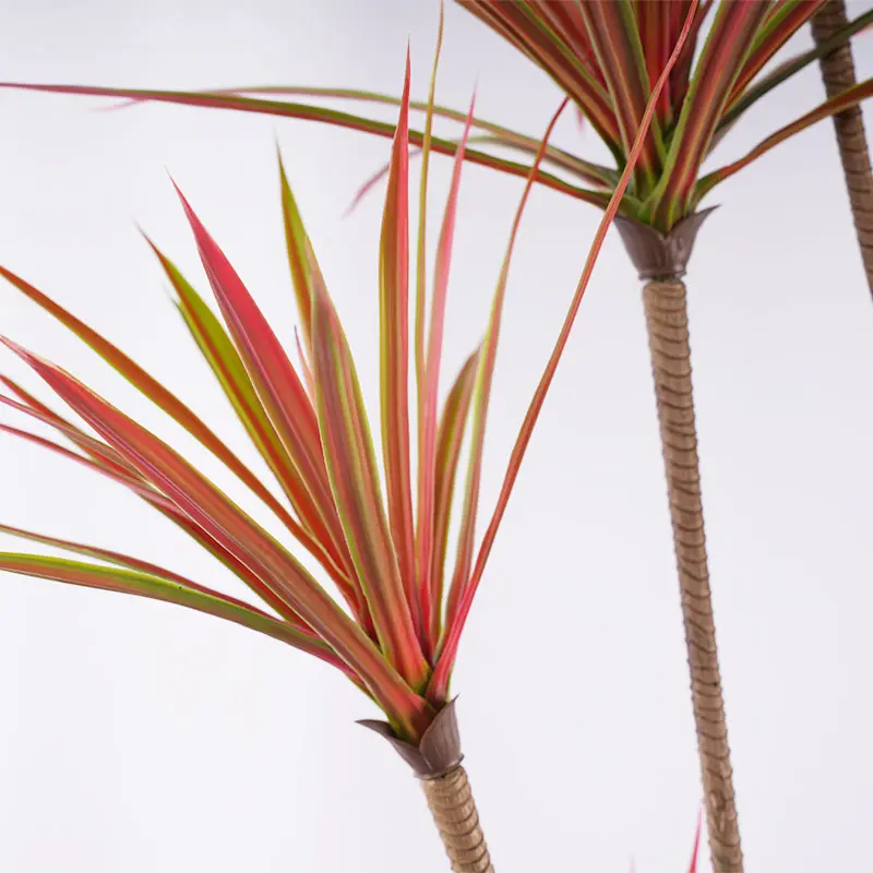 China Bionic potted decoration H185cm Red - Green Plastic Dracaena 7 Heads 162 Leaves Detachable High Quality Manufacturer, Suppliers
