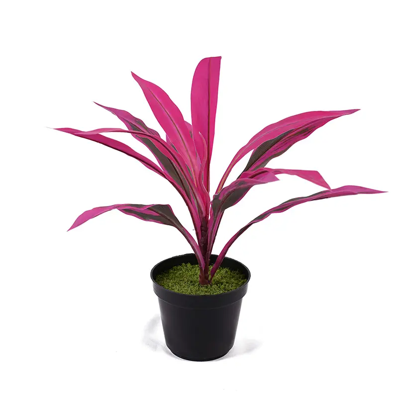 China Artificial green plants H40cm Cordyline fruticosa leaves in pot Purple green Gardening supplies Manufacturer, Factories