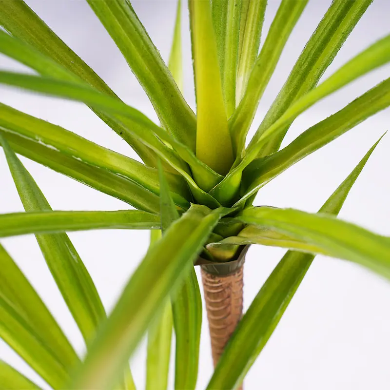 Artificial Dracaena Detail 2