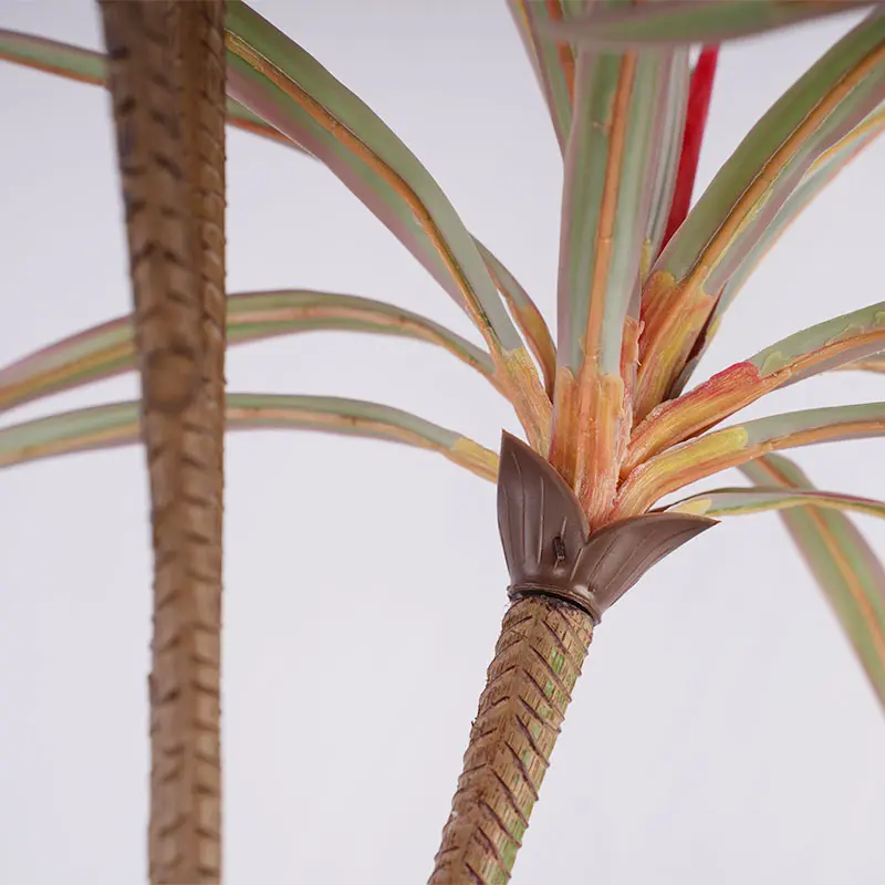Dracaena marginata Detail 1