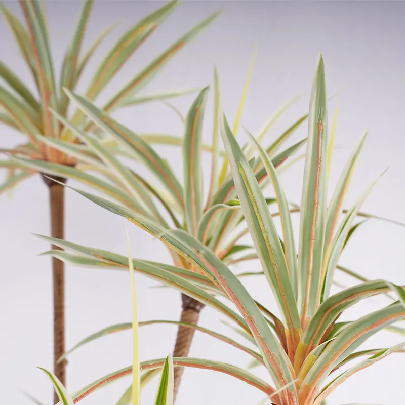 Usage scenarios of artificial Dracaena