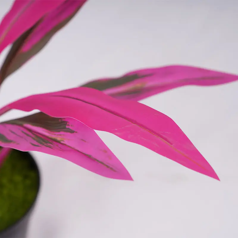 China Artificial green plants H40cm Cordyline fruticosa leaves in pot Purple green Gardening supplies Manufacturer, Factories