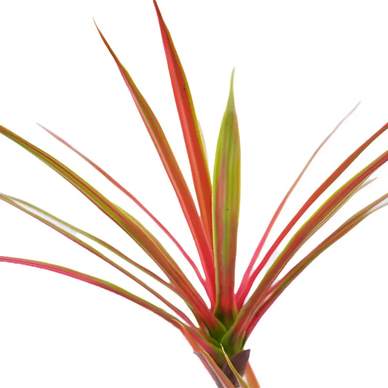 Artificial Dracaena Detail 2