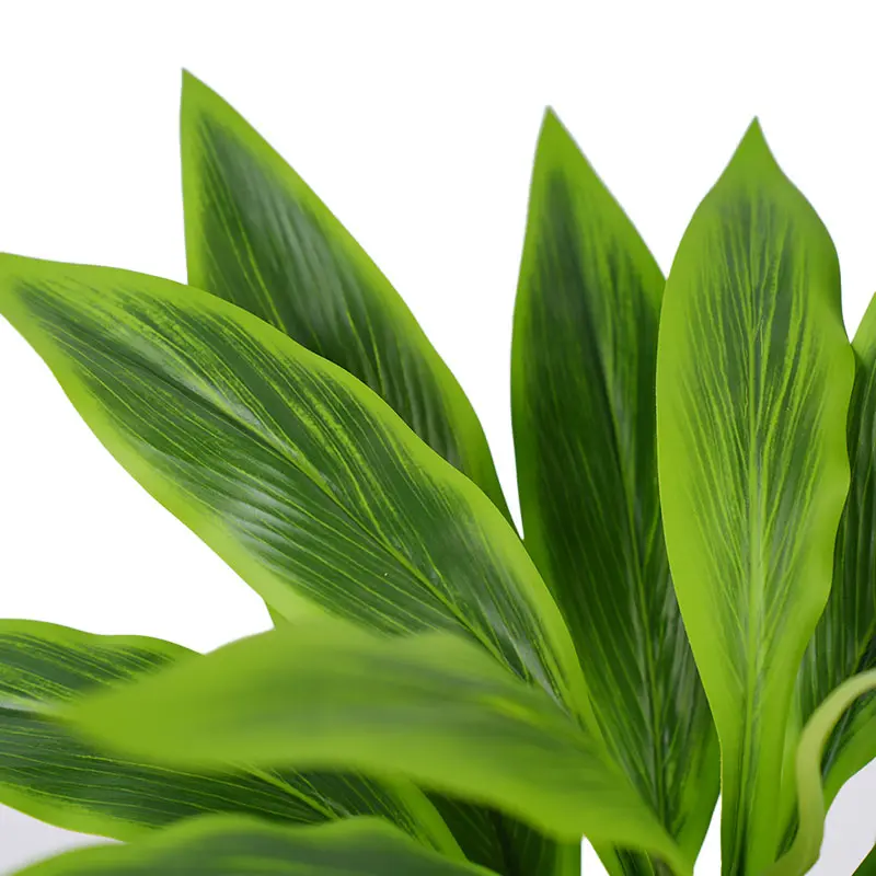 Realistic Foliage Texture