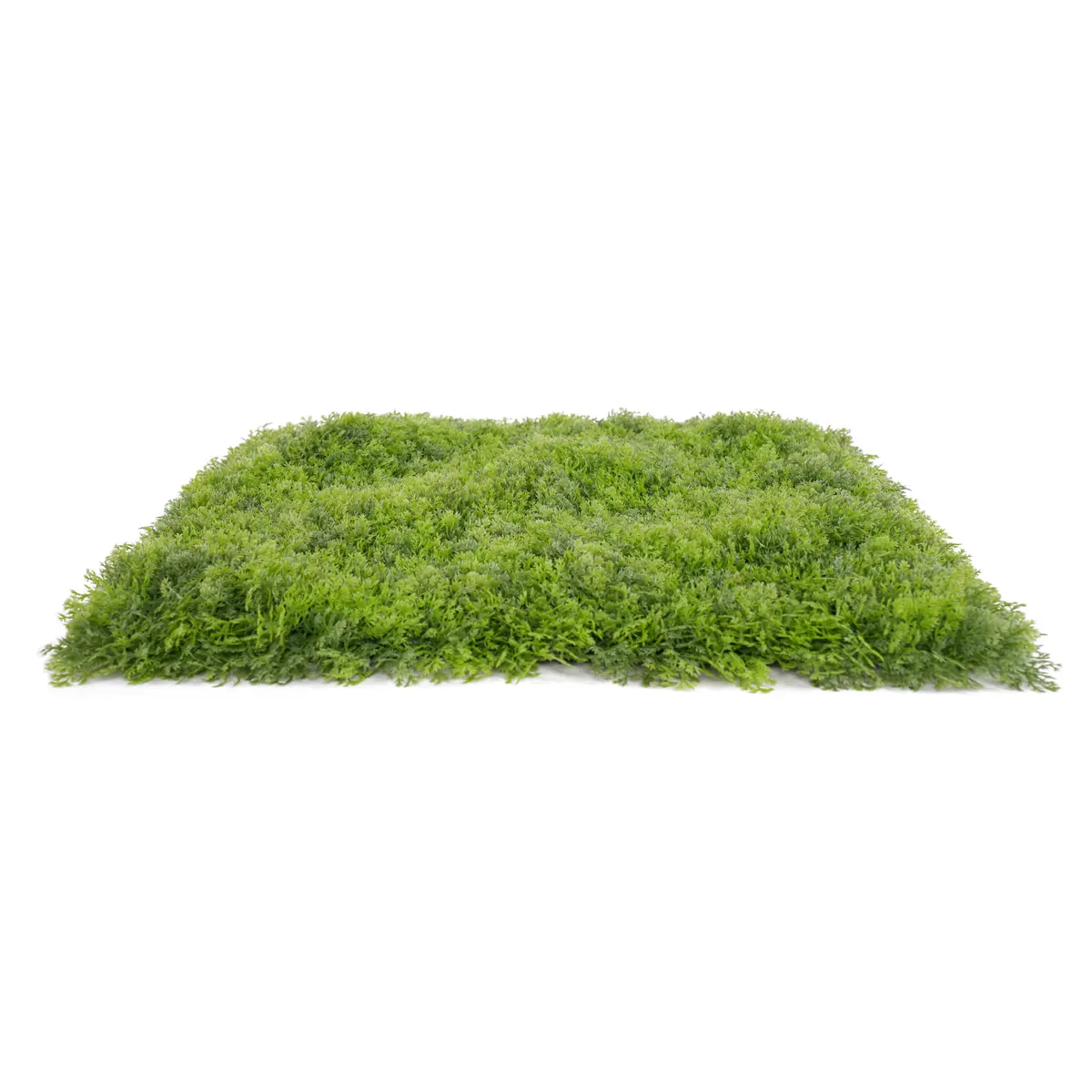 Wholesale UV Protective Anti-UV Foliage Boxwood Grass Fence Mat Panels 56*56cm Plastic Garden Ornaments Decor Green Wall Artificial Manufacturers, Supplier