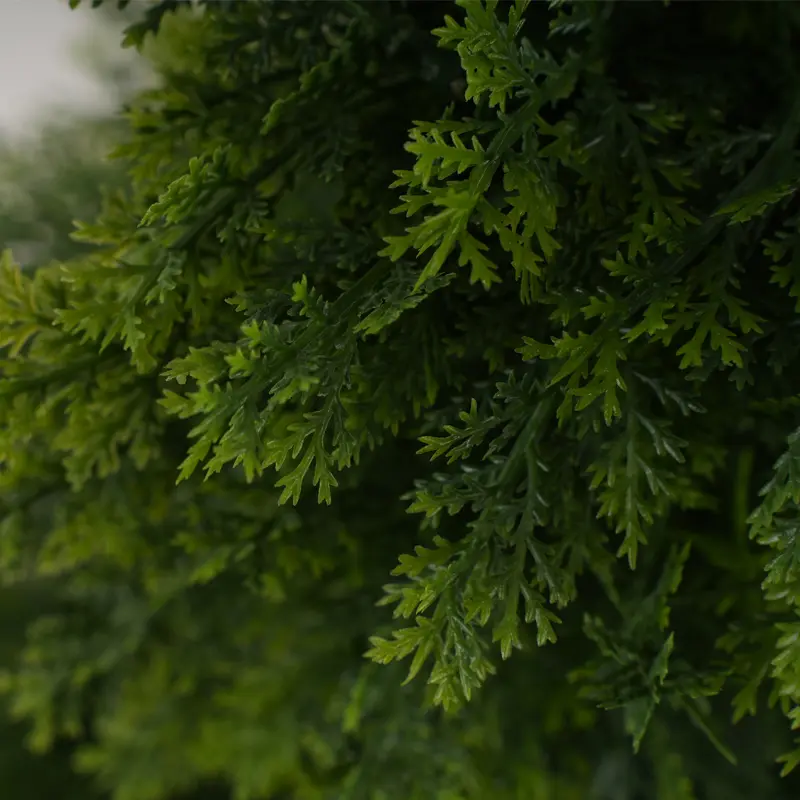 China Home Decoration Christmas Artificial Tree Indoor Decoration Cypress Artificial Plant Wholesale Indoor Tree Manufacturers, Suppliers