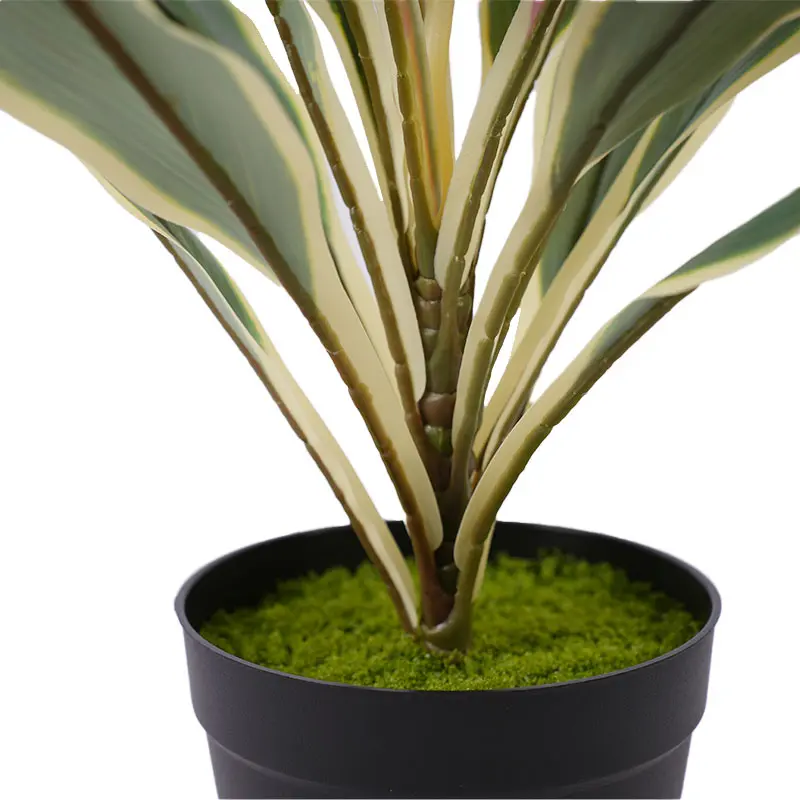Wholesale Faux Potted Plant H50cm Cordyline fruticosa leaves in pot Pink yellow Low Maintenance Manufacturer, Factories