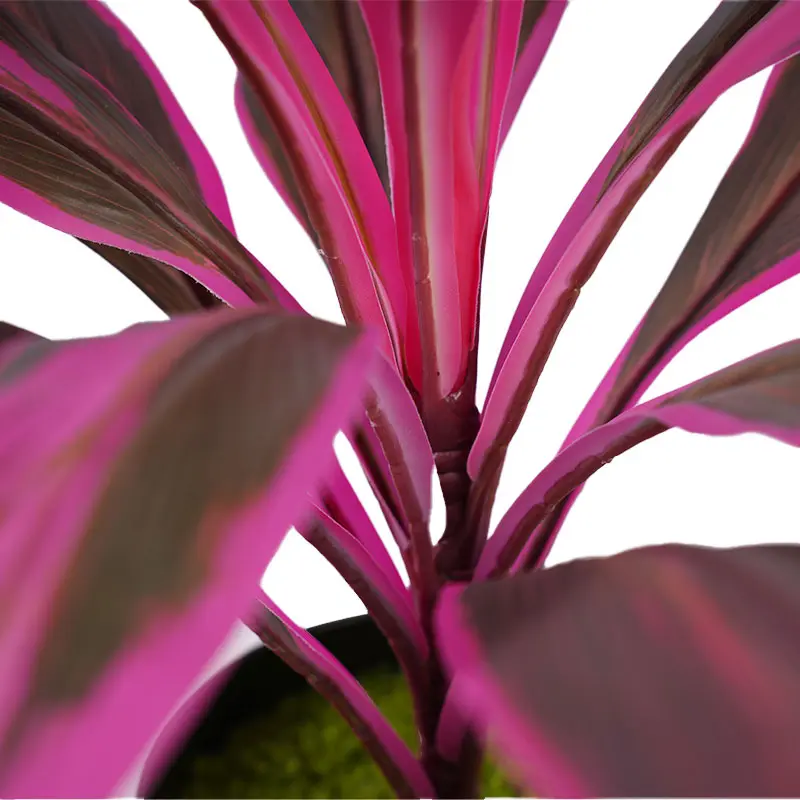 China Artificial green plants H50cm Cordyline fruticosa leaves in pot Purple green Hyper Realistic Manufacturers, Factories