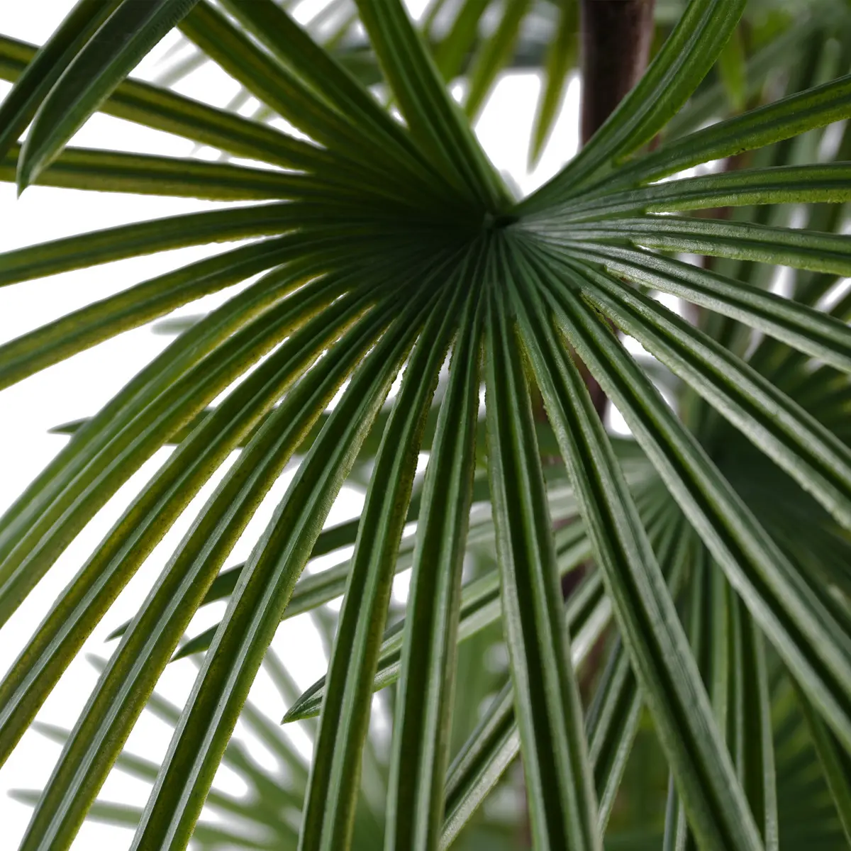 China Hot Selling Artificial Kwai Tree Plastic Plant Bonsai Tree for Indoor and Outdoor Decoration H90cm Plastic Fan Sunflower Seed Manufacturer, Manufacturers