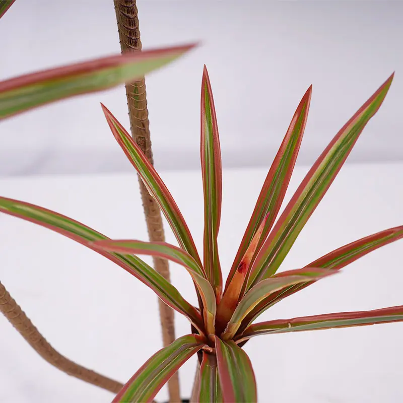 Wholesale Customized H90cm Potted Dracaena marginata Artificial Plants Tree PEVA Leaf 3 Stems and 45 leaves home Decoration Manufacturer, Factories