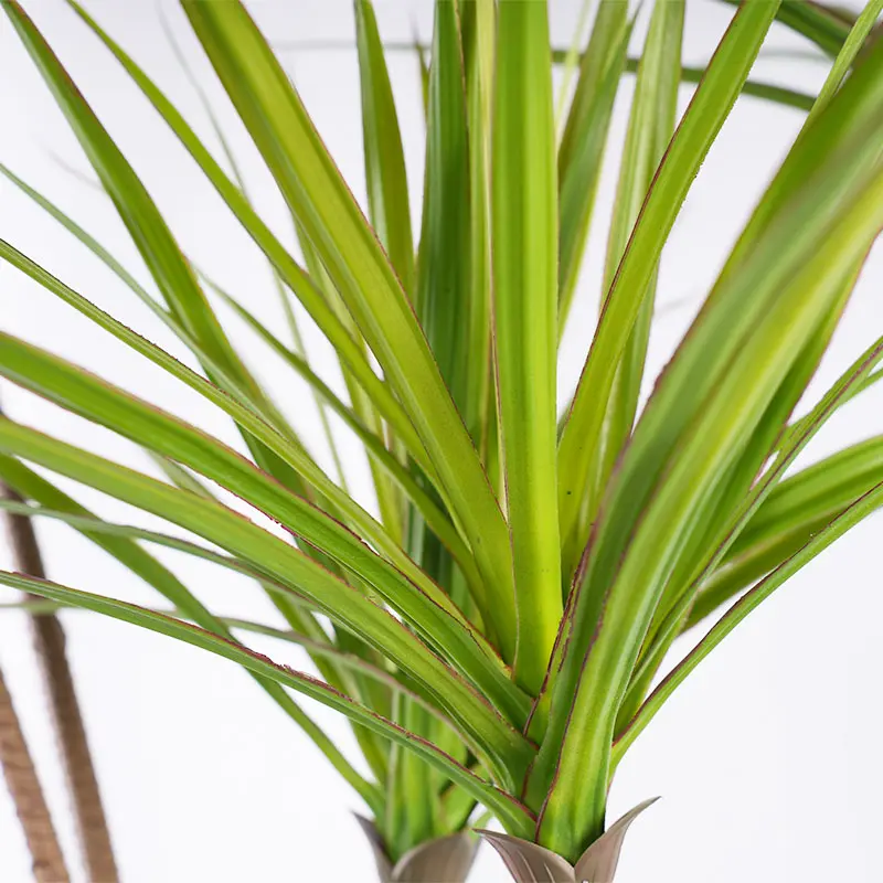 China Artificial Green Plant Pot Detachable H185cm Plastic Dracaena 7 Stems 162 Leaves Green Decoration Manufacturer, Suppliers
