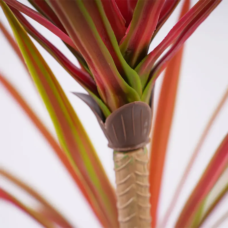 Artificial Dracaena Display