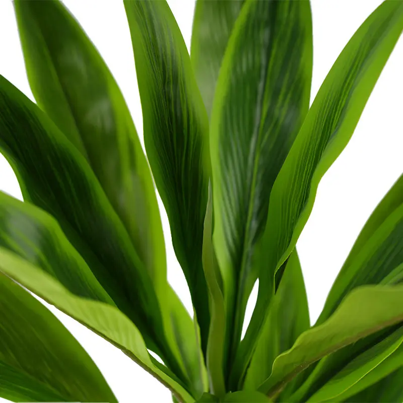 China Environmentally friendly green plants H90cm Cordyline fruticosa leaves in pot Green lighthearted and cheerful style Manufacturers, Suppliers