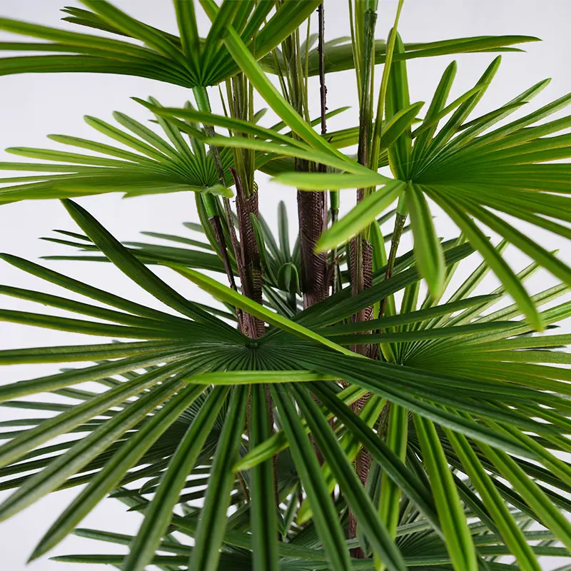 Artificial Fan Palm Usage