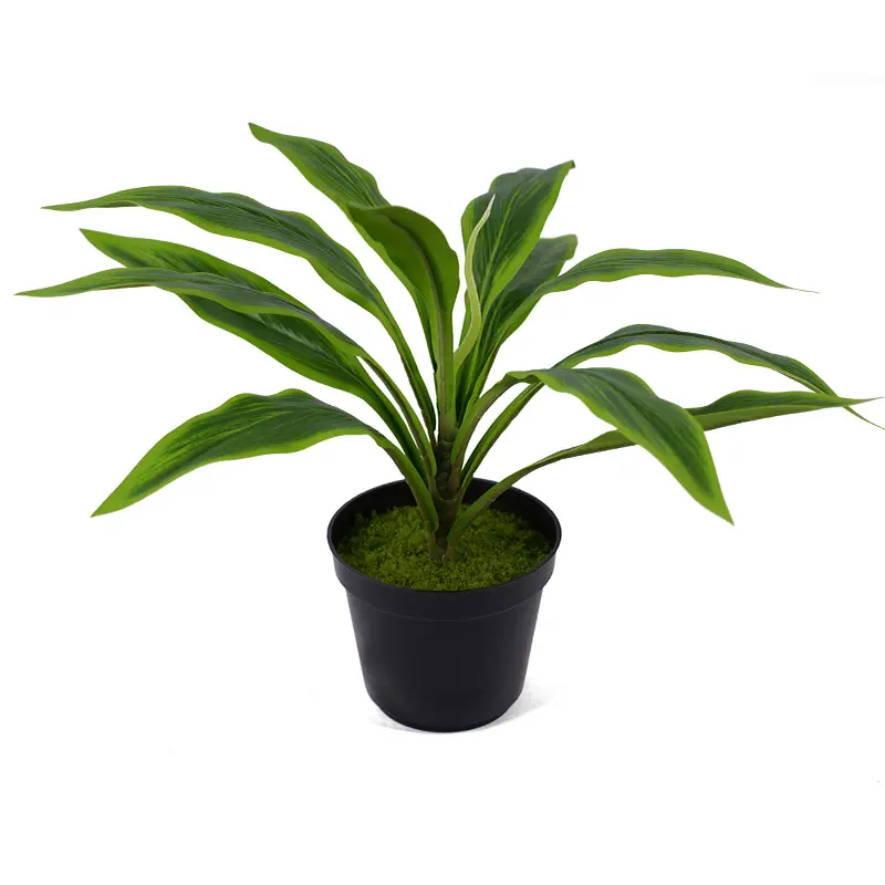 Wholesale Best Selling Artificial green plants H40cm Cordyline fruticosa leaves in pot Green Gardening supplies for Commercial Use Manufacturers, Supplier