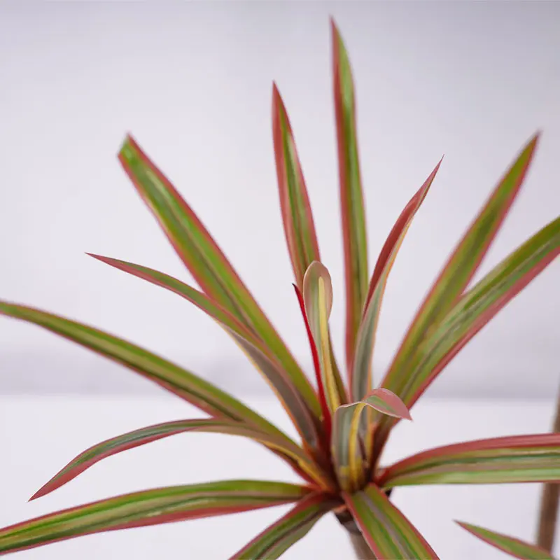 Wholesale Customized H90cm Potted Dracaena marginata Artificial Plants Tree PEVA Leaf 3 Stems and 45 leaves home Decoration Manufacturer, Factories