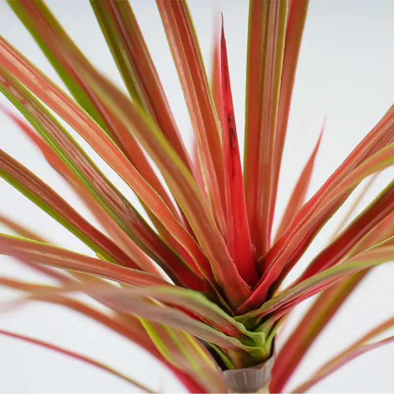 Artificial Dracaena Details