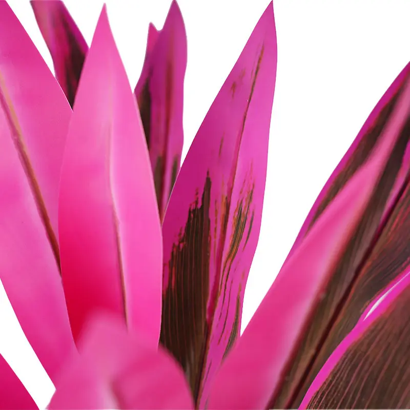 China H90cm Cordyline fruticosa leaves in pot Purple-green  simulated texture Suppliers, Factories