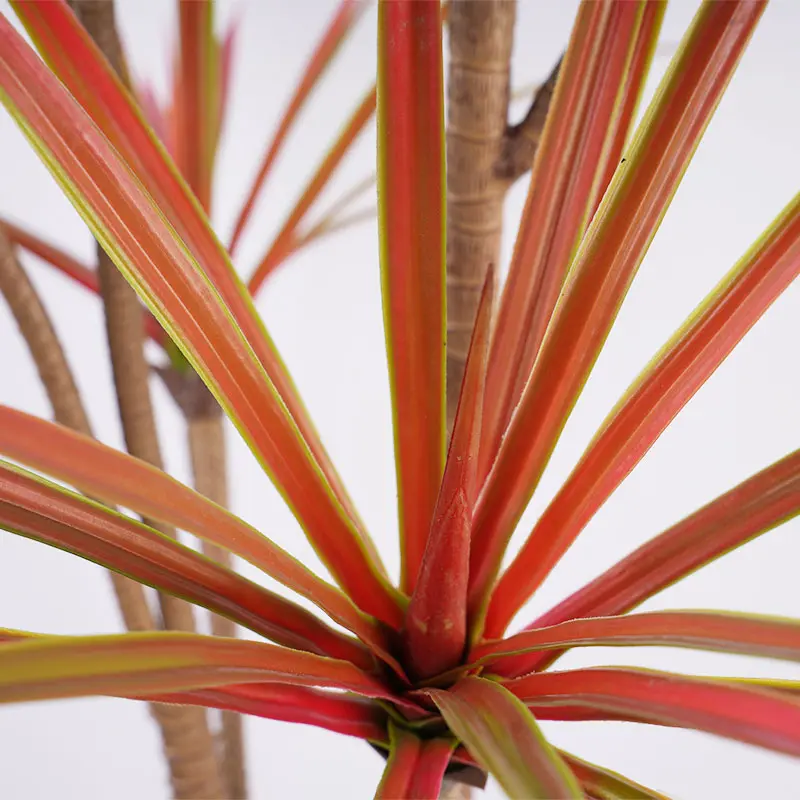 China Bionic potted decoration H185cm Red - Green Plastic Dracaena 7 Heads 162 Leaves Detachable High Quality Manufacturer, Suppliers