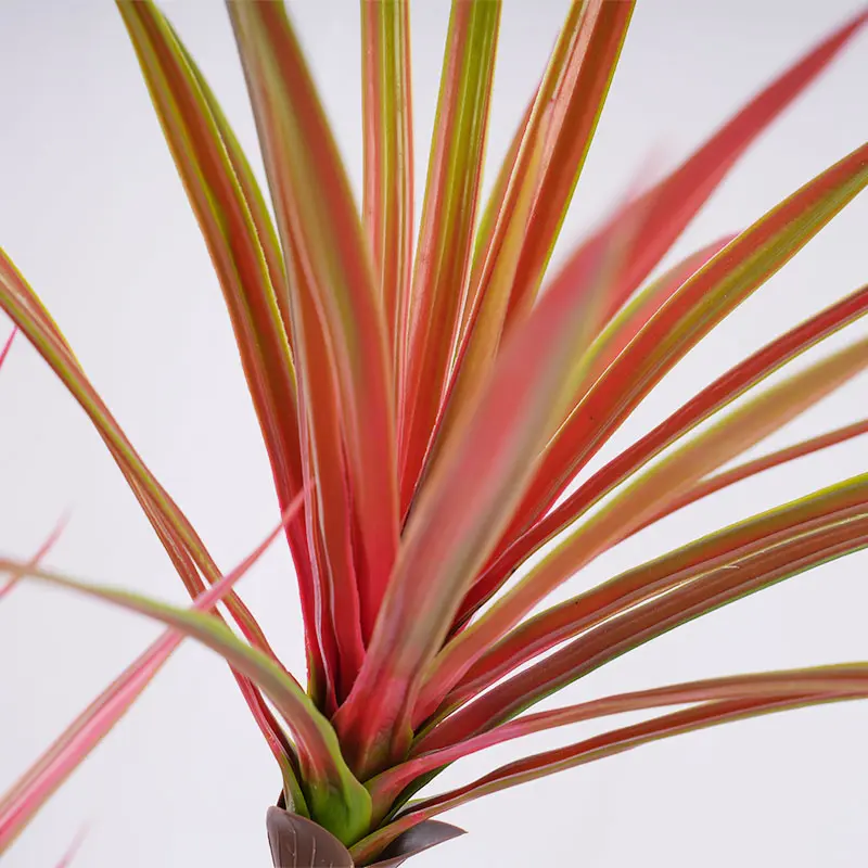 Artificial Dracaena Detail 2