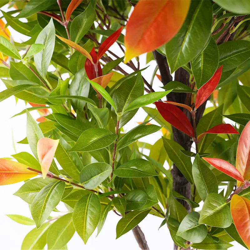 Wholesale 185cm Red Green Artificial Potted Plants Detachable Simulation for Home Office and Garden Decoration