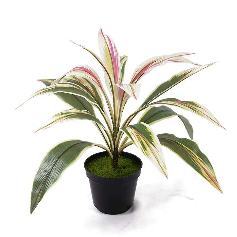 China High quality artificial green H43cm Cordyline fruticosa leaves in pot Pink yellow home decoration Supplier, Factory