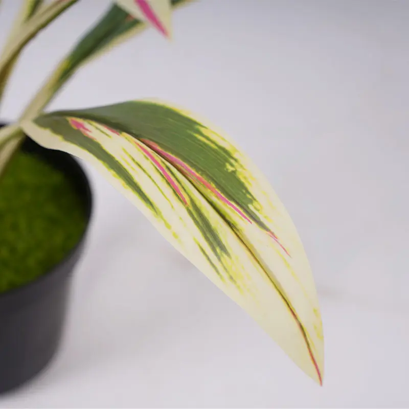 Wholesale Artificial green plants H40cm Cordyline fruticosa leaves in pot Pink yellow Gardening supplies Manufacturers, Factory