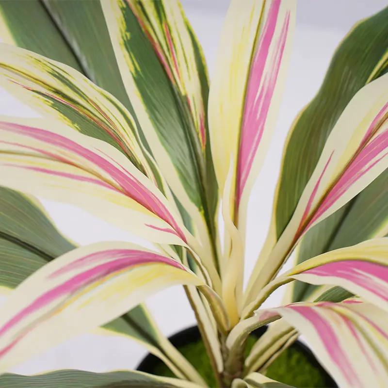 Wholesale Faux Potted Plant H50cm Cordyline fruticosa leaves in pot Pink yellow Low Maintenance Manufacturer, Factories
