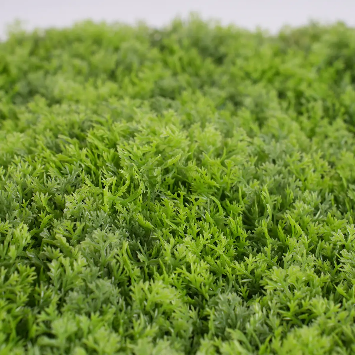 Wholesale UV Protective Anti-UV Foliage Boxwood Grass Fence Mat Panels 56*56cm Plastic Garden Ornaments Decor Green Wall Artificial Manufacturers, Supplier