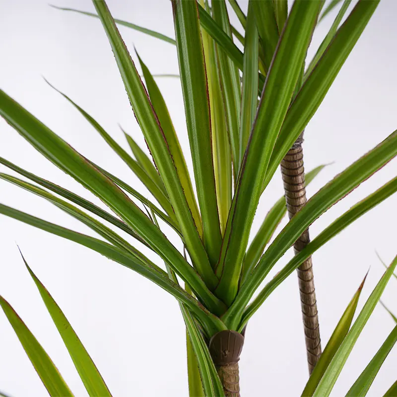 Artificial Dracaena Detail 1
