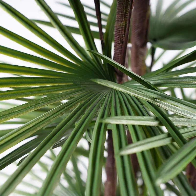 Wholesale Commercial Grade Artificial Fan Palm 180cm Lifelike 3 Stem Design 49 Leaves Perfect for Lobby Garden Decor Suppliers, Factory