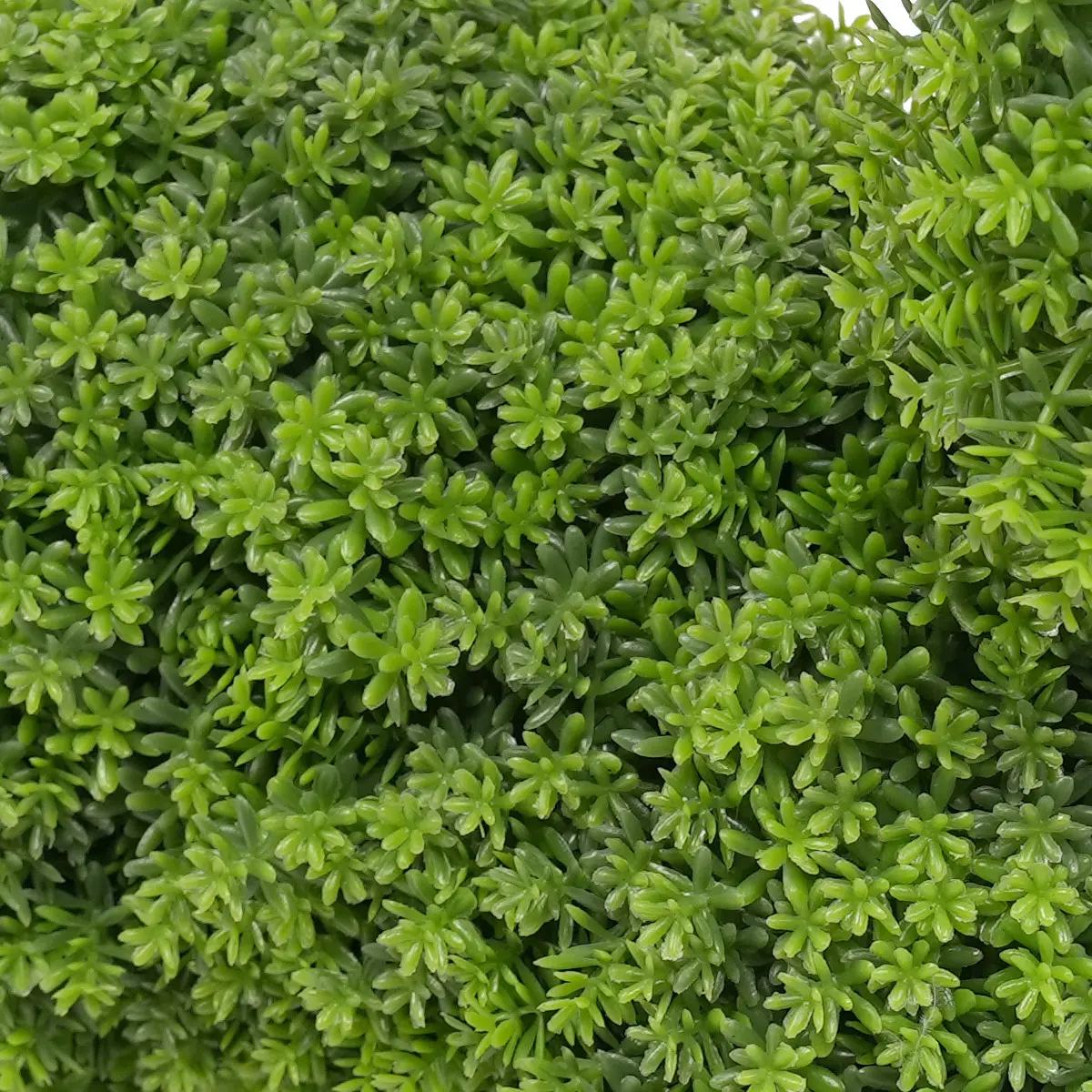 China Elegant 36cm Boxwood Dog Statue Outdoor Space-Garden Ornament Made of Durable Plastic Manufacturers, Factories