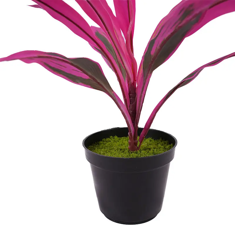 China Artificial green plants H40cm Cordyline fruticosa leaves in pot Purple green Gardening supplies Manufacturer, Factories