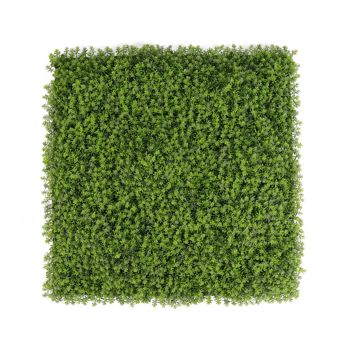 China UV Protective Anti-UV Foliage Boxwood Grass Fence Mat Panels 54*54cm Plastic Garden Ornaments Decor Green Wall Artificial Manufacturers, Suppliers