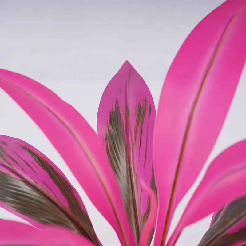 Wholesale Factory direct sales H43cm Cordyline fruticosa leaves in pot Purple green healing style Supplier, Factories