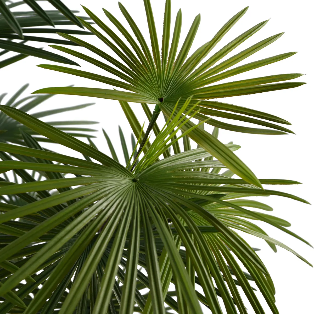 China Hot Selling Indoor and Outdoor Bonsai Tree Artificial Kwai Plastic Plant Beautiful Bonsai Tree for Home or Garden Factories, Factory