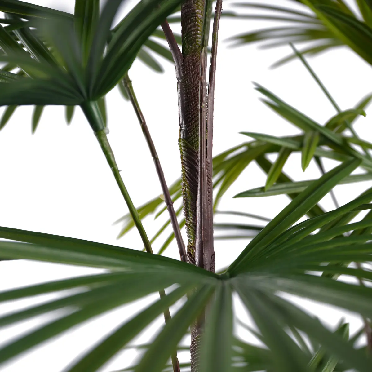 China Hot Selling Artificial Kwai Tree Plastic Plant Bonsai Tree for Indoor and Outdoor Decoration H90cm Plastic Fan Sunflower Seed Manufacturer, Manufacturers