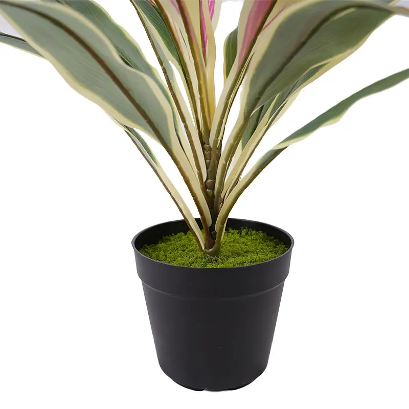 Artificial Cordyline Fruticosa Detail 2