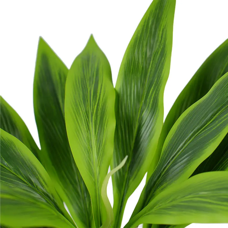 Wholesale Best Selling Artificial Plants H43cm Cordyline fruticosa leaves in pot Green  natural ecology Manufacturers, Factories