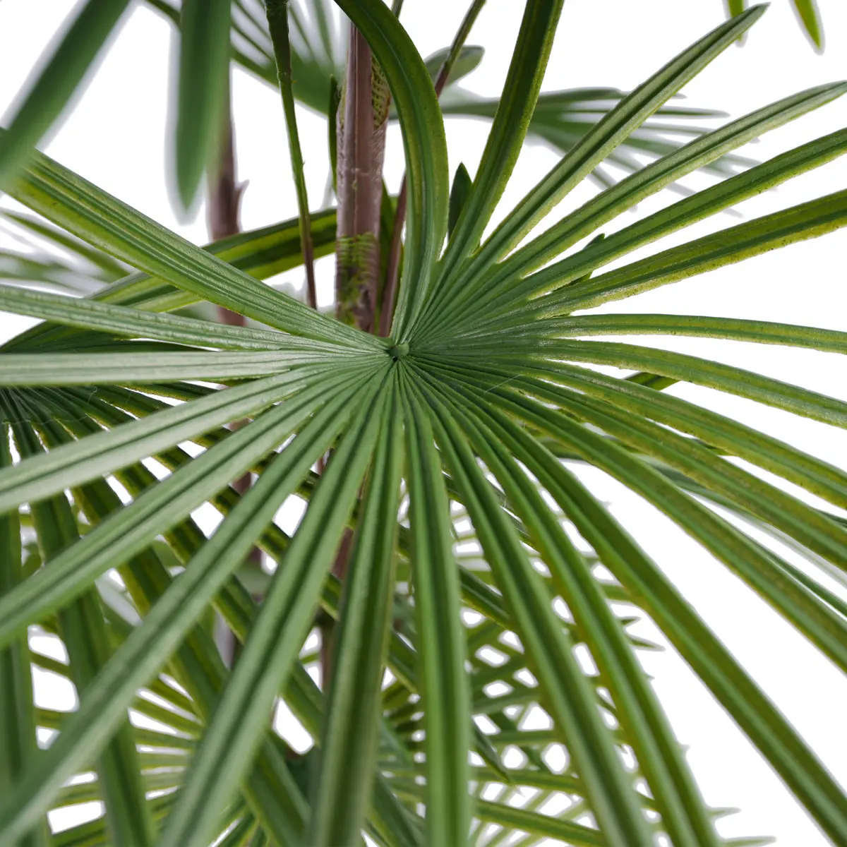 China Hot Selling Artificial Kwai Tree Plastic Plant Bonsai Tree for Indoor and Outdoor Decoration H90cm Plastic Fan Sunflower Seed Manufacturer, Manufacturers