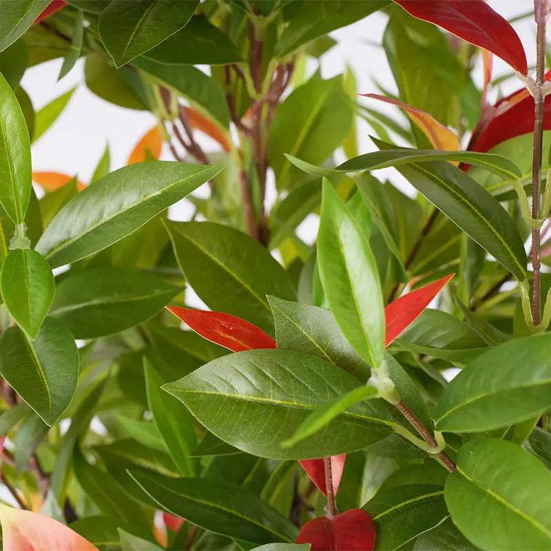 Wholesale Premium H120cm Removable Faux Photinia Commercial Space Greenery Decoration Manufacturer, Supplier