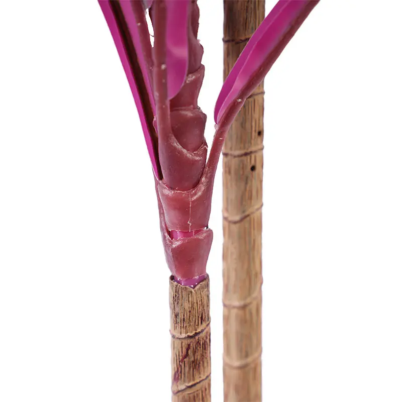 China H90cm Cordyline fruticosa leaves in pot Purple-green  simulated texture Suppliers, Factories